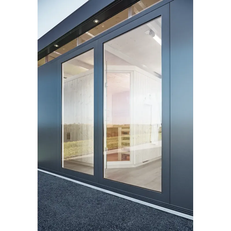 Biohort Glaselement Cn 102x206x4 5cm 52038