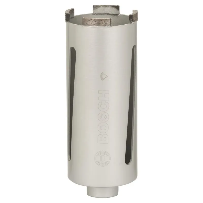 Bosch Diamantbor Tør 65x150mm   2prof 2608587340