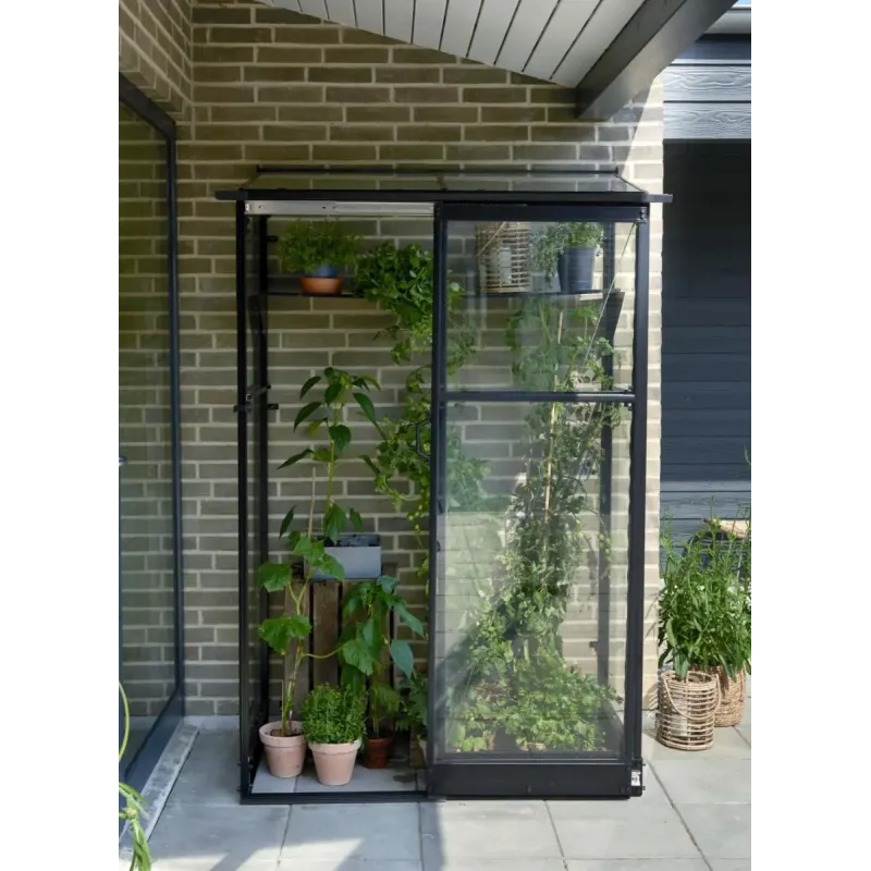 Halls Drivhus Qube Lean-to 42 Sort      Mm Hærdet Glas  F09934