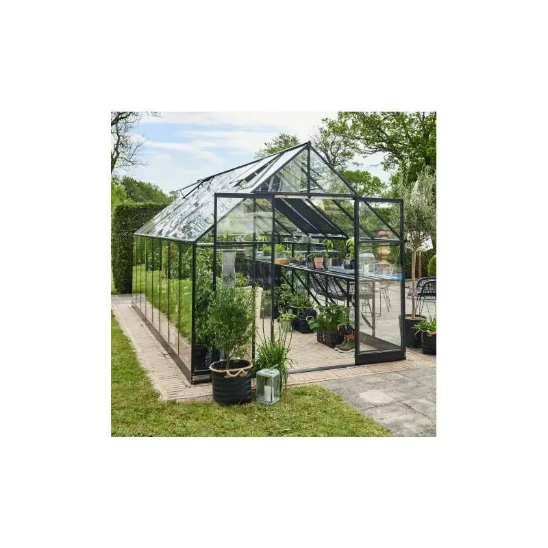 Halls Qube 816 Sort      Mm Hærdet Glas  F09864