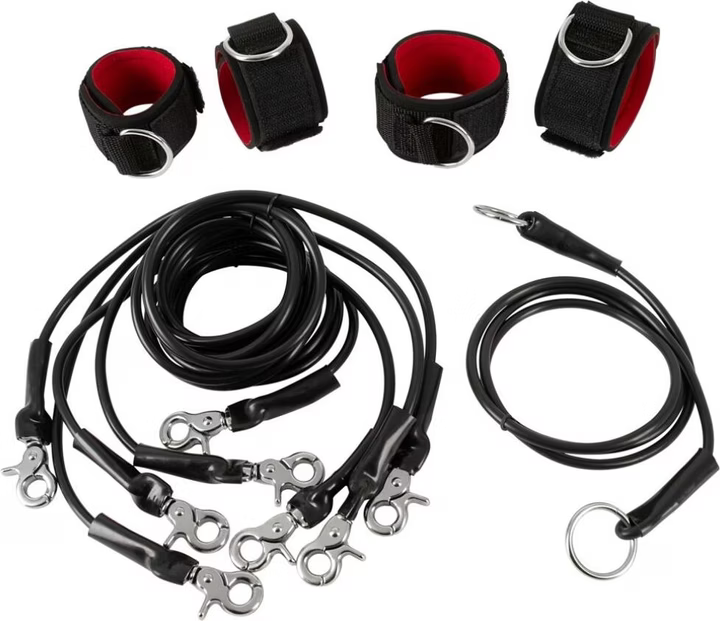 Bed Restraints