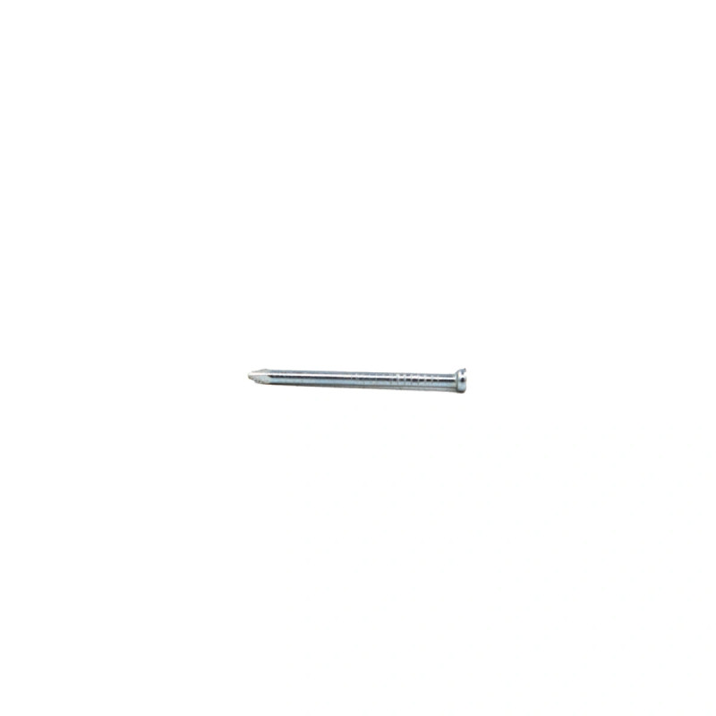 Fischer Dykkere 574676