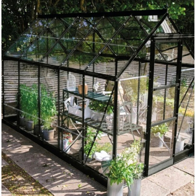 Halls Icon          Mâ        10  Sort     Mm Glas