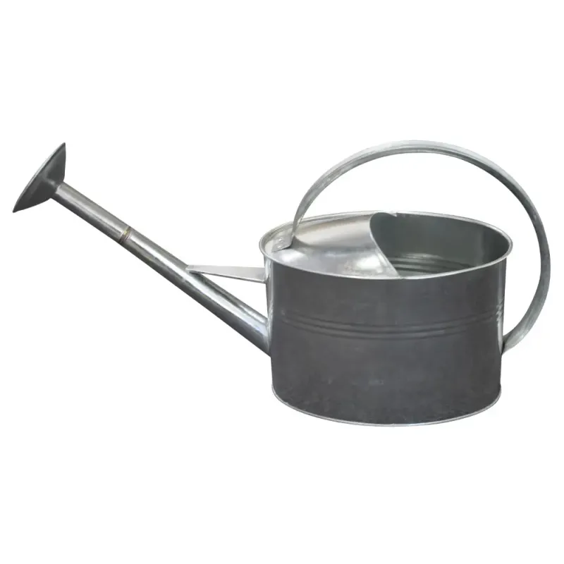 Home It Vandkande Med Spreder   Liter Galvaniseret