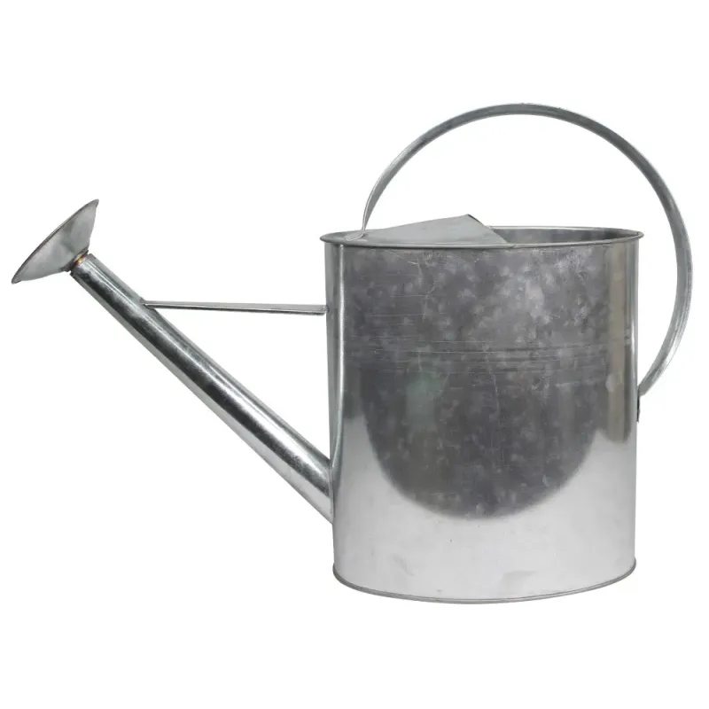 Home It Vandkande Med Spreder 10 Liter Galvaniseret