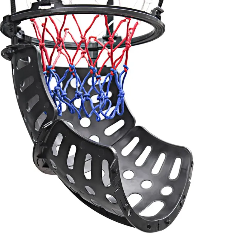 Stanlord Basketball Return