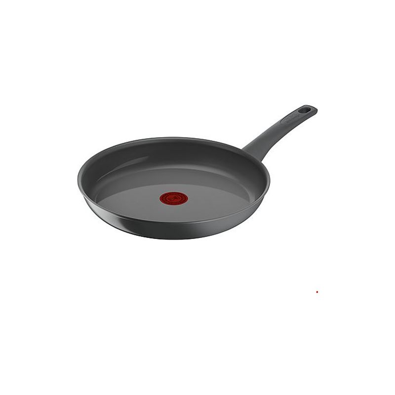 Tefal Renewal ø24 Cm Stegepande