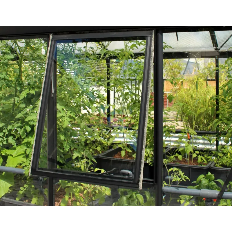 Vitavia Sidevindue Til Helenasort   Ekskl  Glas